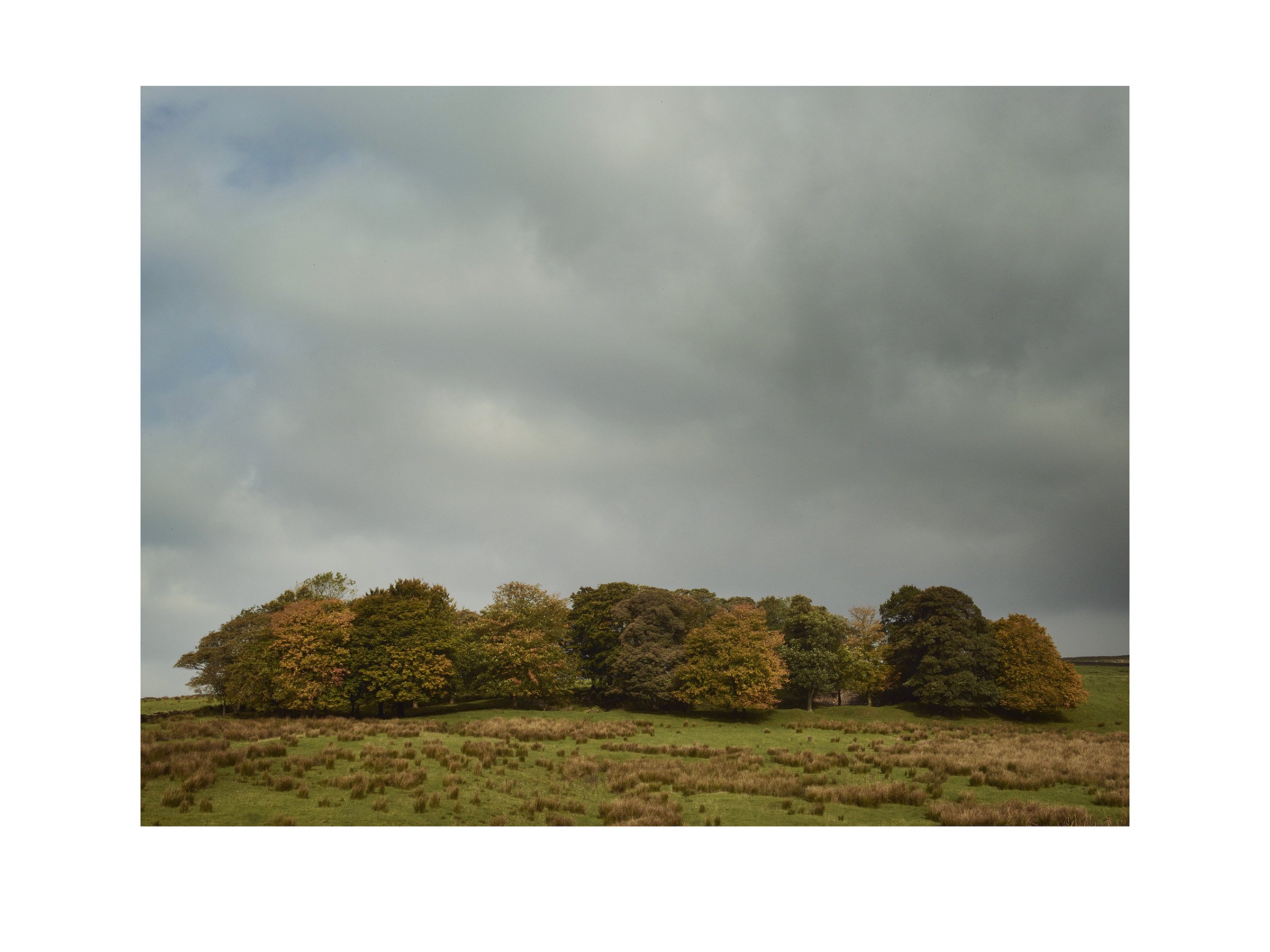 Bonny Colne upon the hill